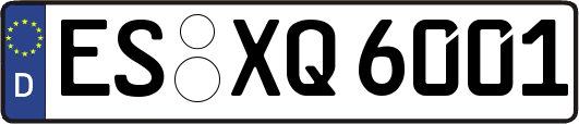 ES-XQ6001