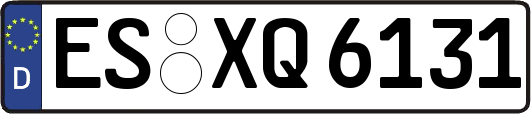 ES-XQ6131