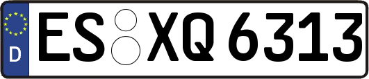 ES-XQ6313