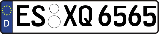 ES-XQ6565