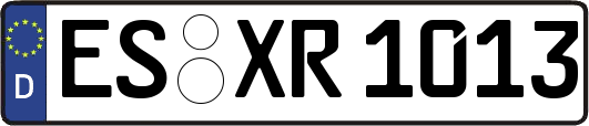 ES-XR1013