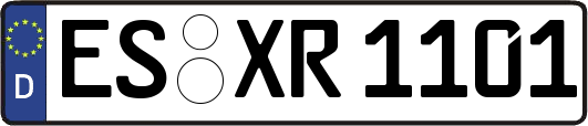 ES-XR1101