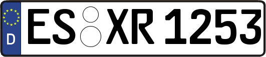 ES-XR1253