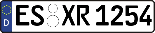 ES-XR1254