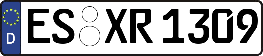 ES-XR1309