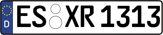 ES-XR1313