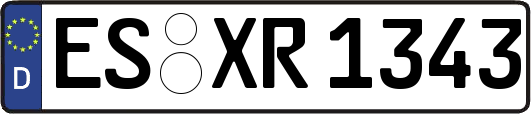 ES-XR1343