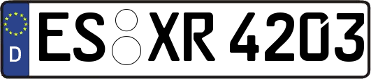 ES-XR4203