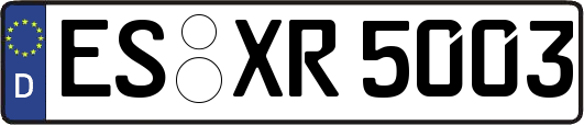 ES-XR5003