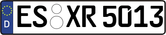 ES-XR5013