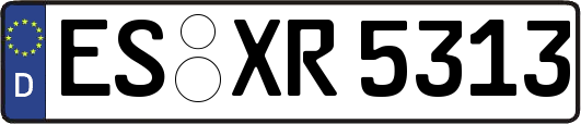 ES-XR5313