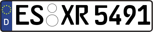 ES-XR5491