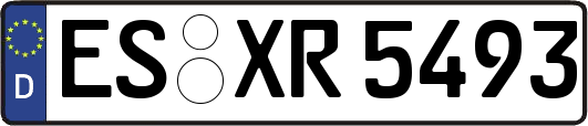 ES-XR5493