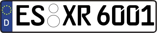 ES-XR6001