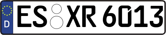 ES-XR6013