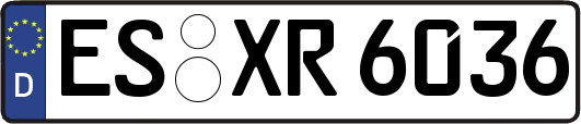 ES-XR6036