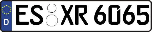 ES-XR6065