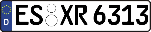 ES-XR6313