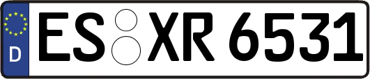ES-XR6531