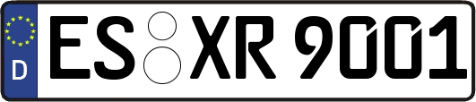 ES-XR9001