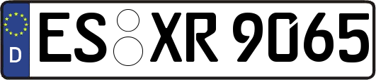 ES-XR9065
