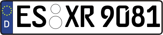ES-XR9081