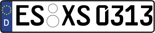 ES-XS0313