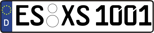 ES-XS1001