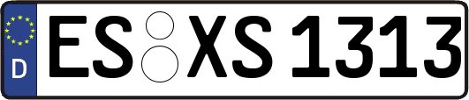 ES-XS1313