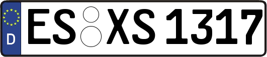 ES-XS1317