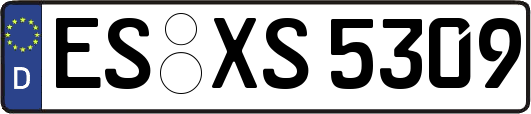 ES-XS5309