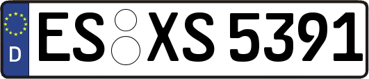 ES-XS5391