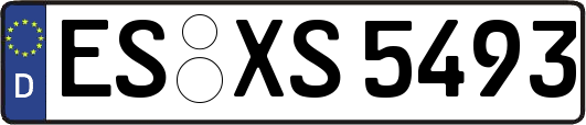 ES-XS5493