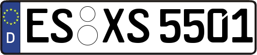 ES-XS5501