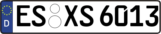 ES-XS6013
