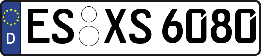 ES-XS6080