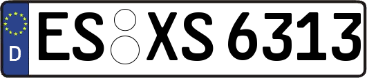 ES-XS6313