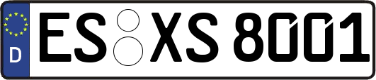 ES-XS8001
