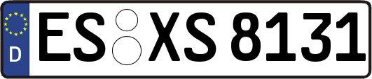 ES-XS8131