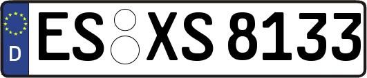 ES-XS8133