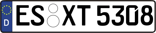 ES-XT5308