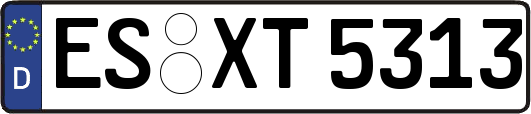 ES-XT5313
