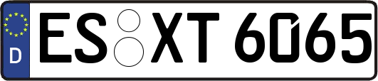 ES-XT6065
