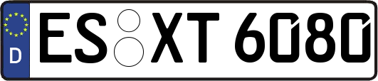 ES-XT6080