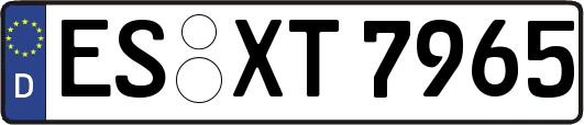 ES-XT7965