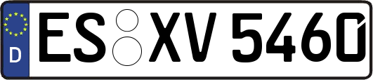 ES-XV5460