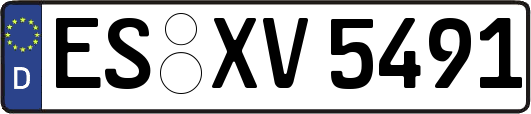 ES-XV5491