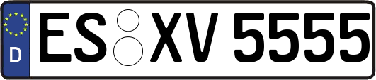 ES-XV5555