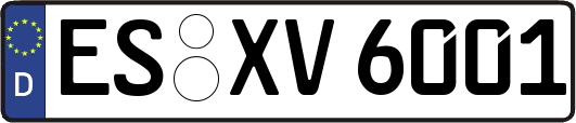 ES-XV6001