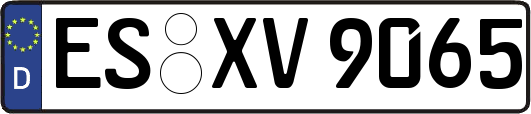 ES-XV9065